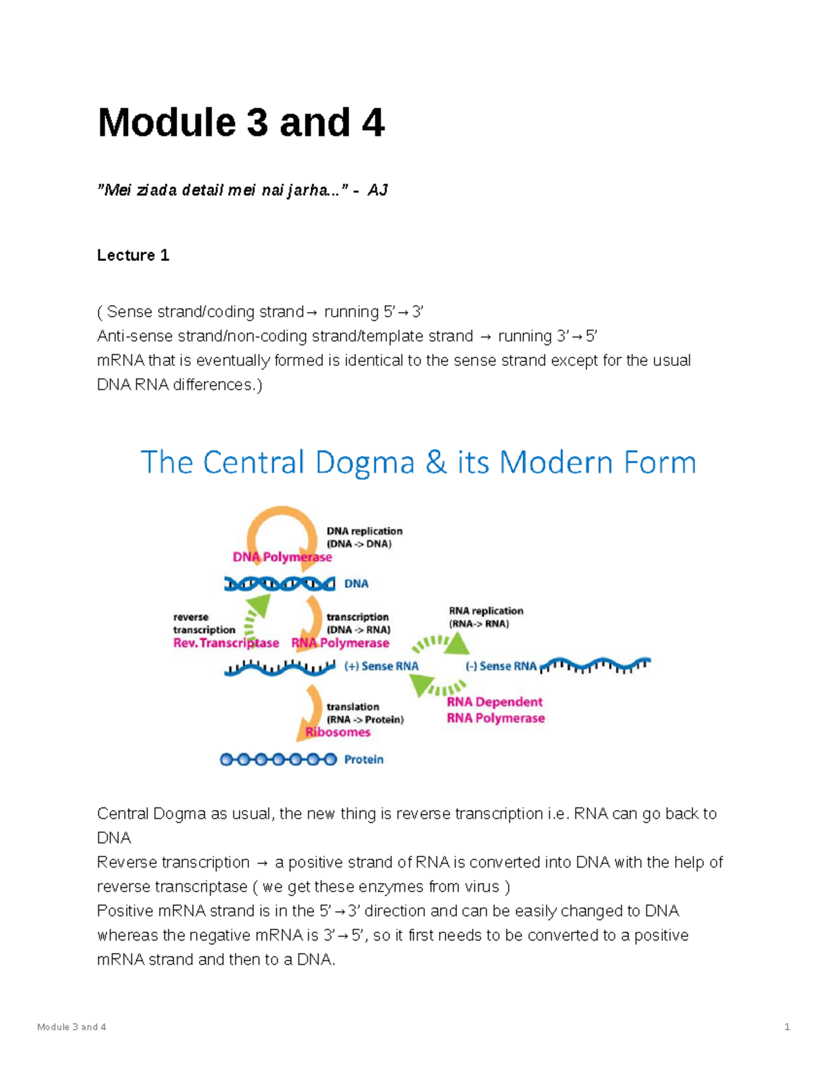 Module 3 & 4: Detailed Lecture Notes on Central Dogma & Genomics - Studocu