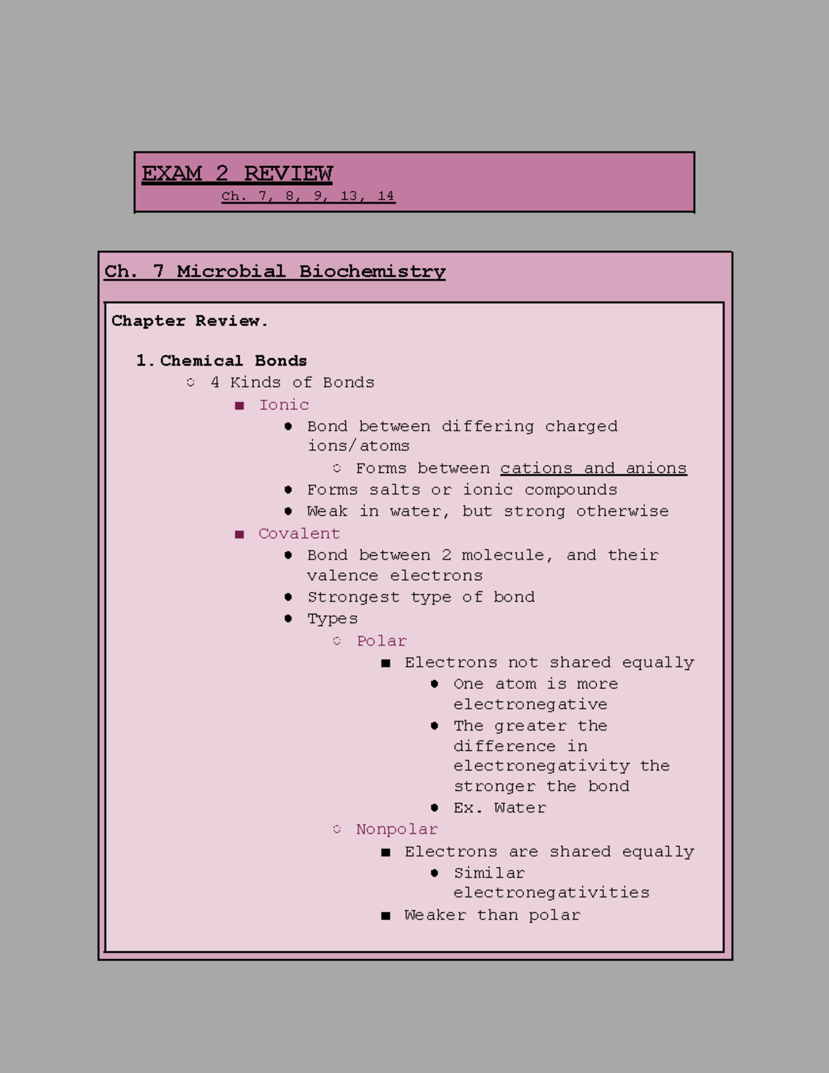 Exam 2 Review Notes for Microbiology (Ch. 7, 8, 9, 13, 14) - Studocu