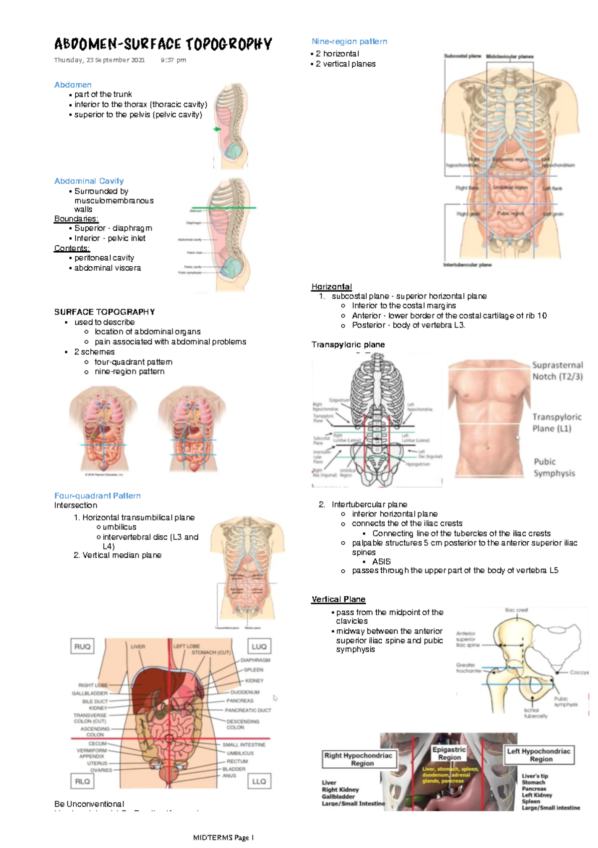 General Anatomy: Surface Topography and Abdominal Viscera MIDTERMS ...