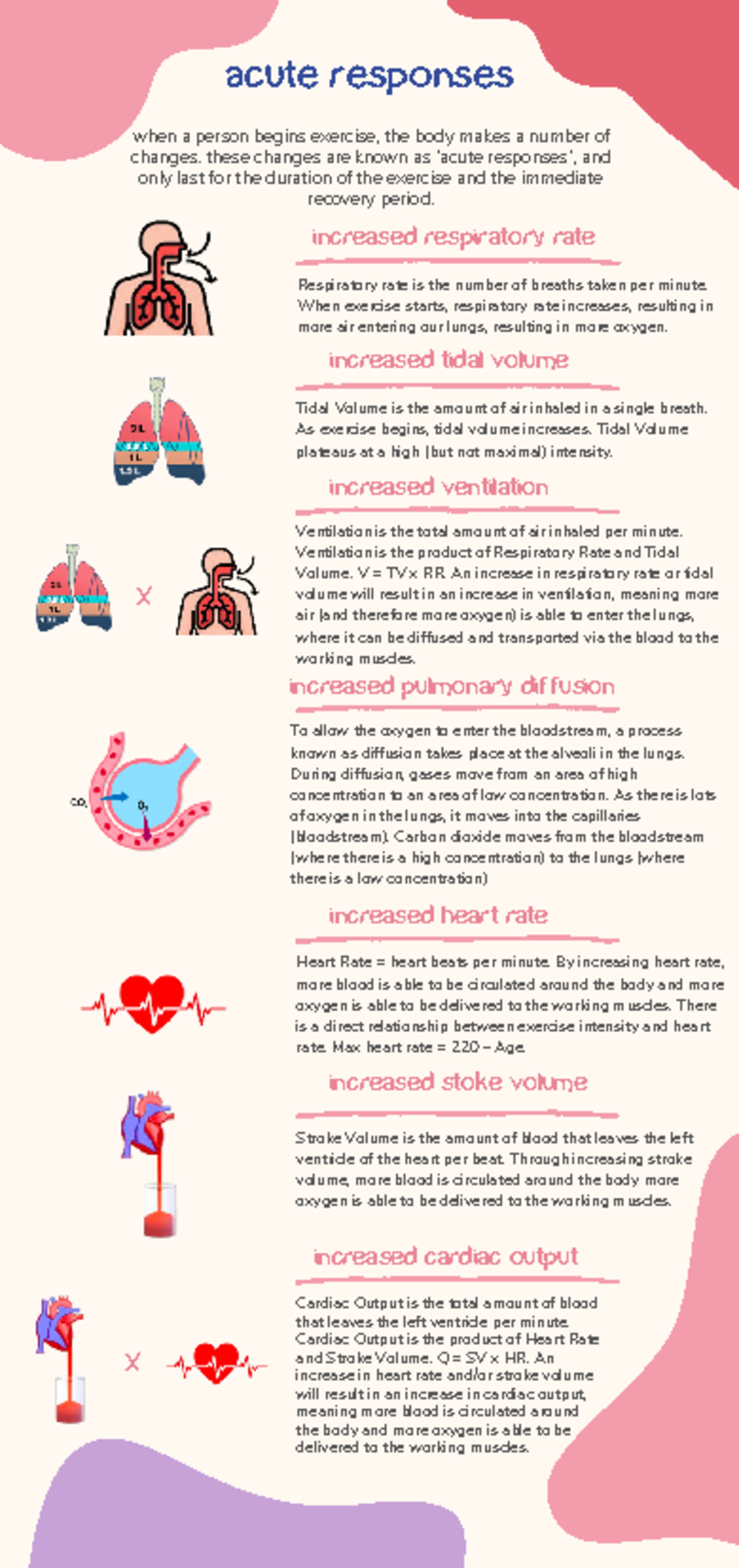 Acute Responses to Exercise: Key Physiological Changes and Effects ...