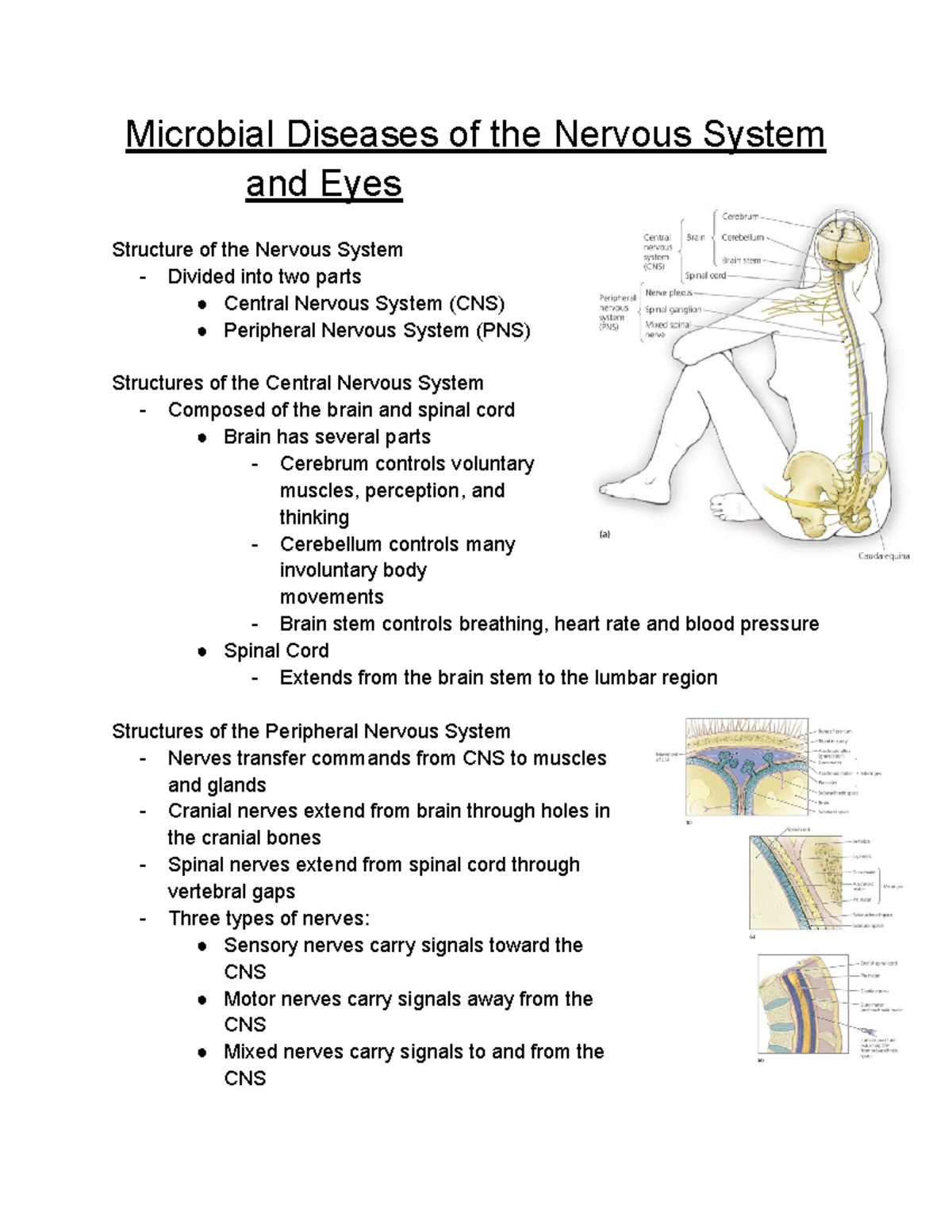 Chapter 20: Microbial Diseases of the Nervous System & Eyes - Prof ...
