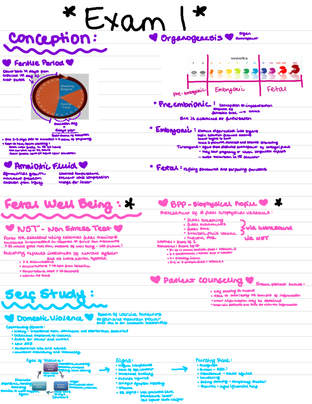 NURS 101 Exam 1 Study Guide: Key Concepts in Reproductive Health - Studocu