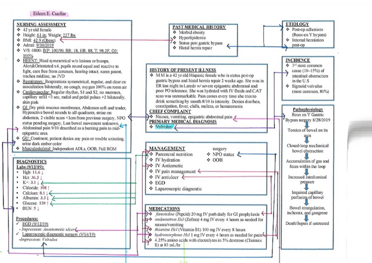 NURSING CARE PLAN: Volvulus Management - Level 4 - Studocu