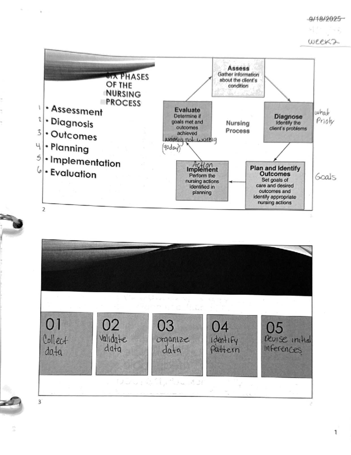 Week 2 Overview: Key Concepts in Nursing Process (Course Code 101 ...