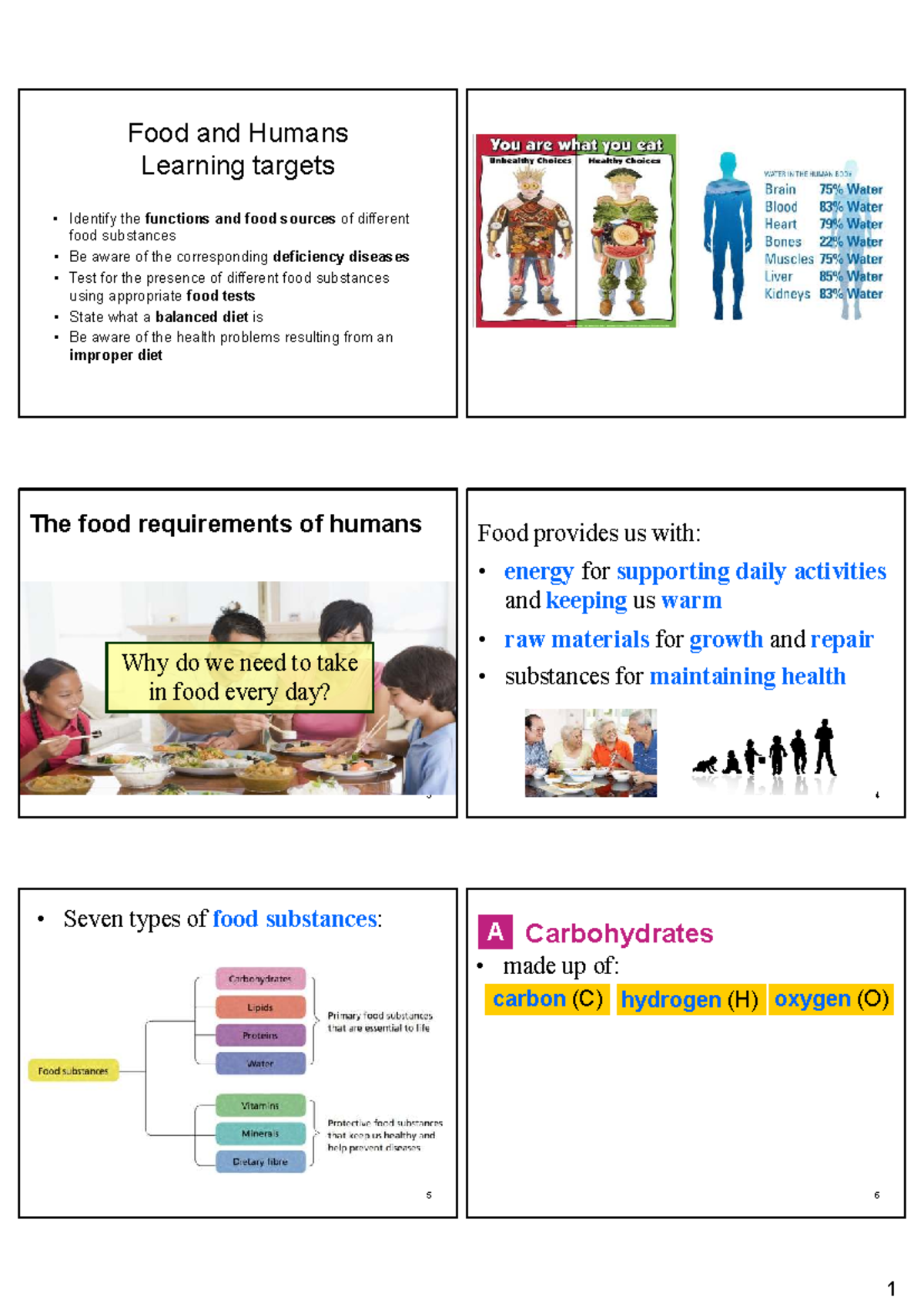 Food and Humans: Functions, Sources, and Balanced Diet (BIO101) - Studocu