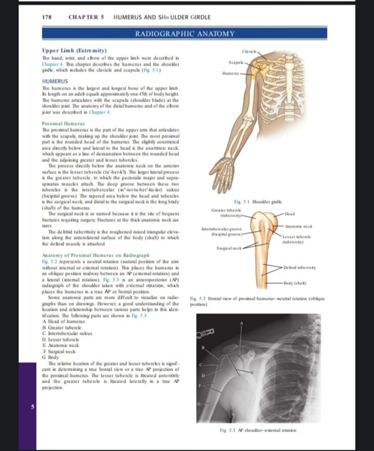 DIP Notes: Thoracic Spine Anatomy and Imaging Techniques - Studocu