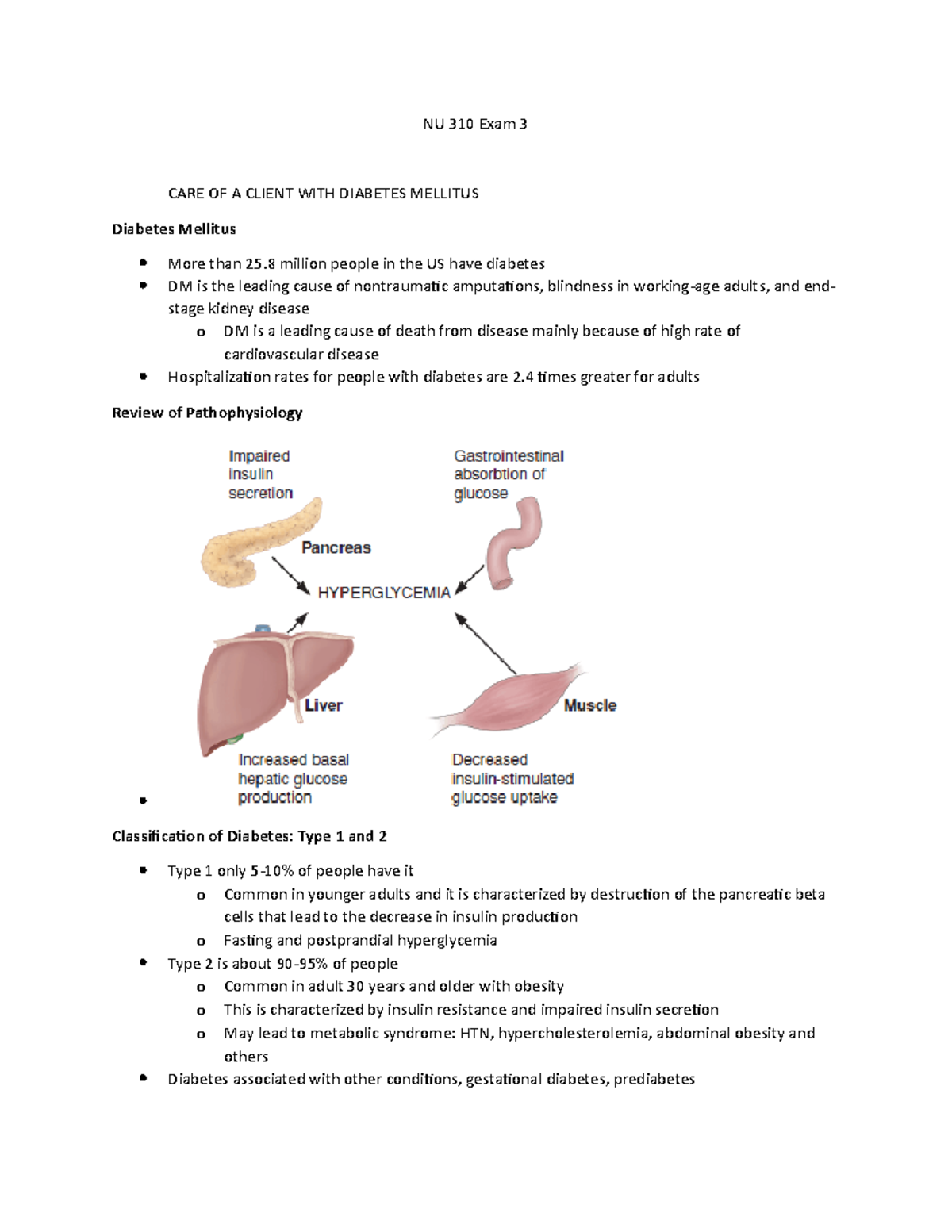 NU 310 Final Exam Study Notes on Diabetes Mellitus and Endocrine ...