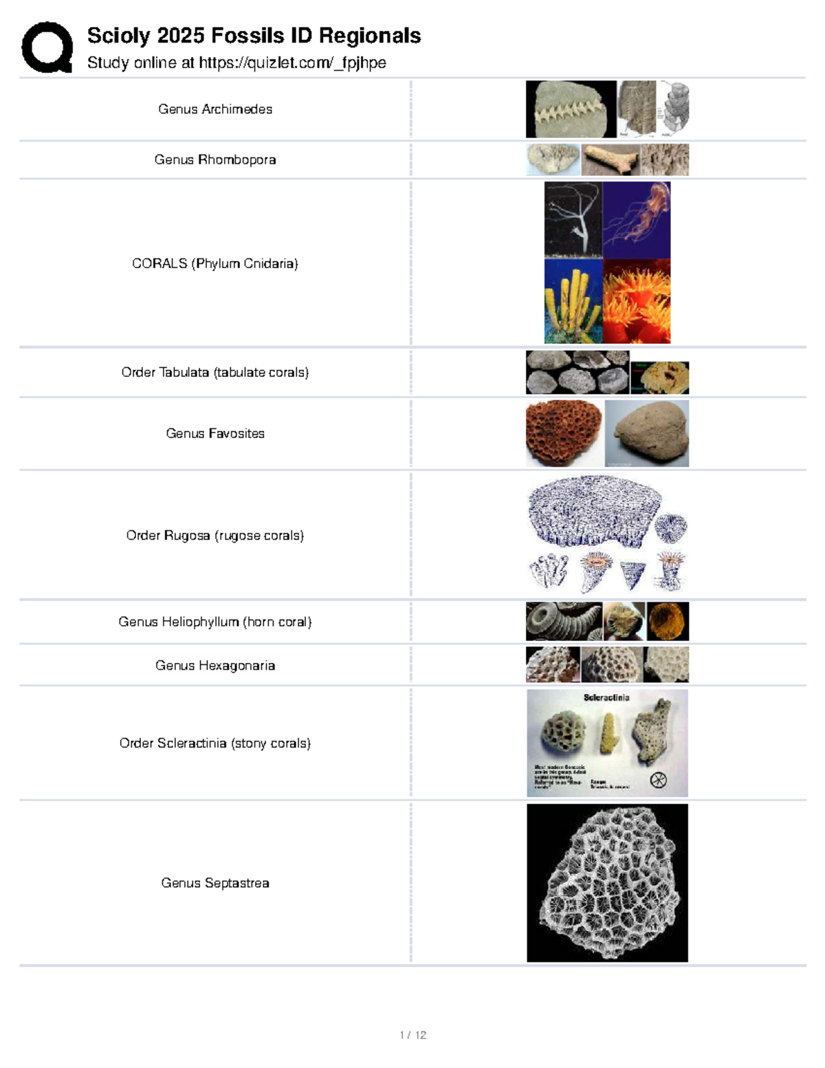 fossil lists of fossils - Study online at quizlet/_fpjhpe Genus ...