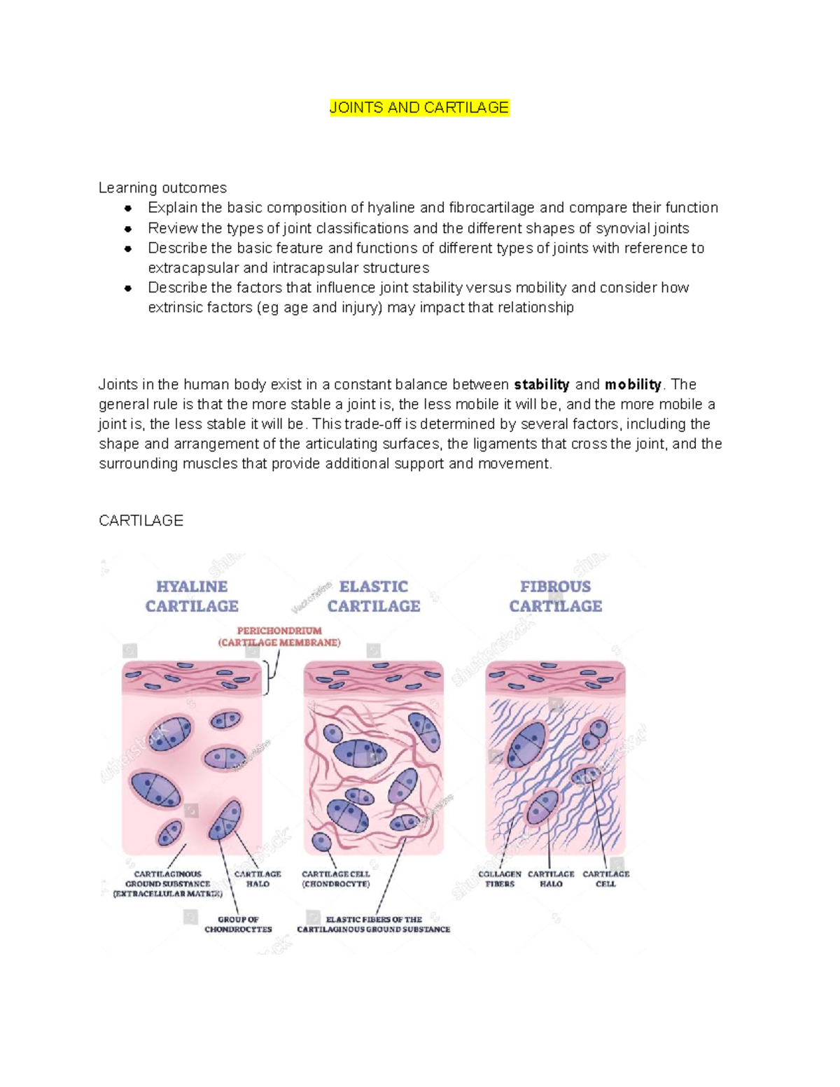 KIN 1060 LEC Notes: Joints and Cartilage Overview - Studocu