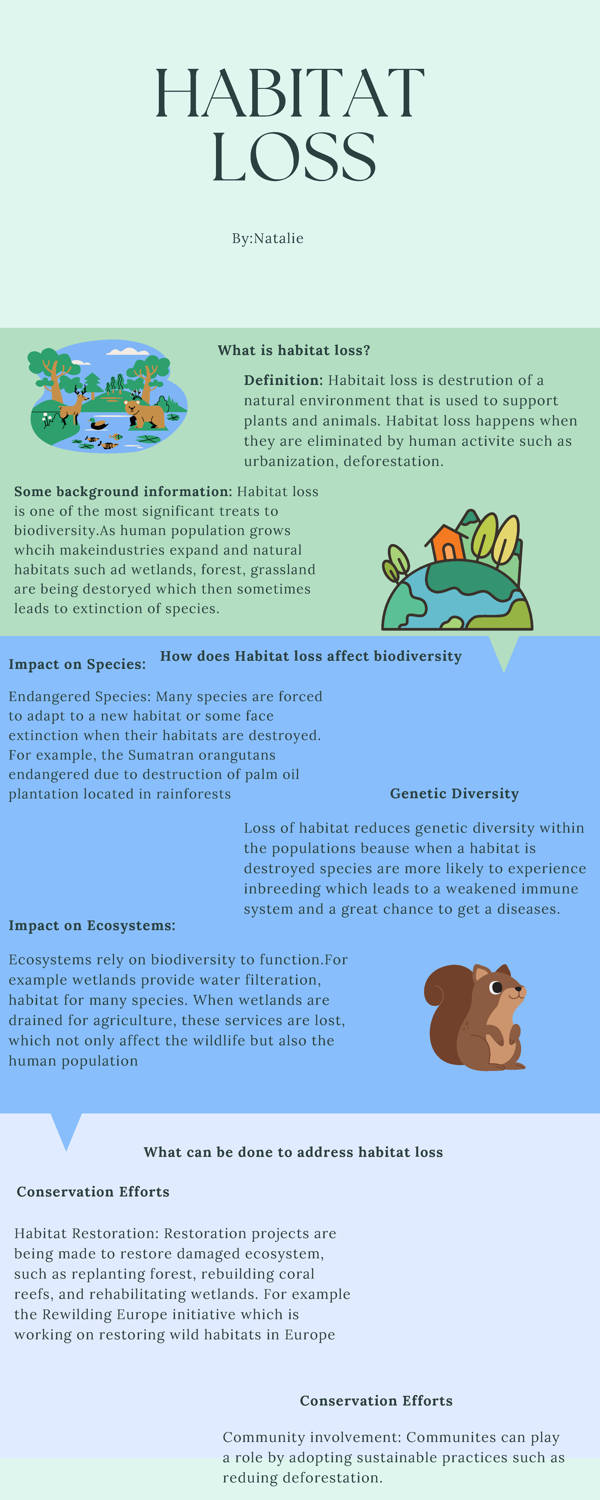 Habitat Loss: Key Insights on Biodiversity and Conservation Efforts ...
