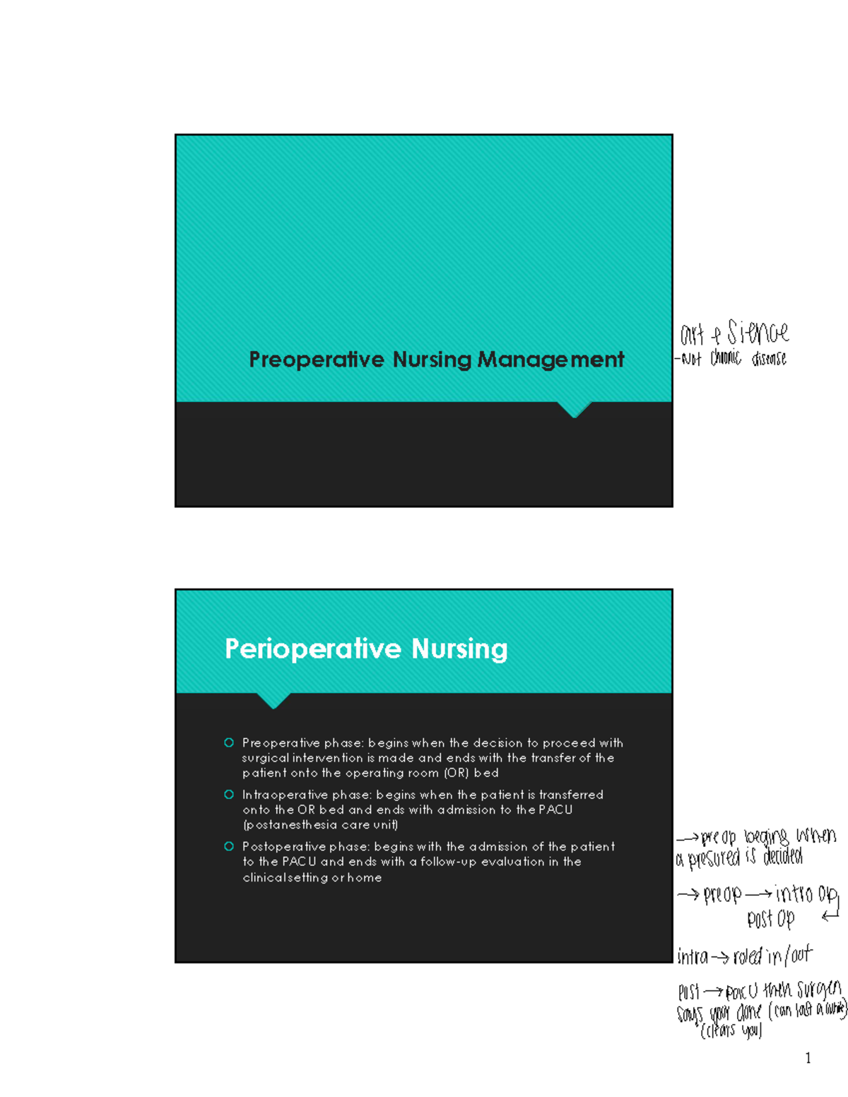 Preoperative Nursing Management Patient Assessment Guide Nur 101