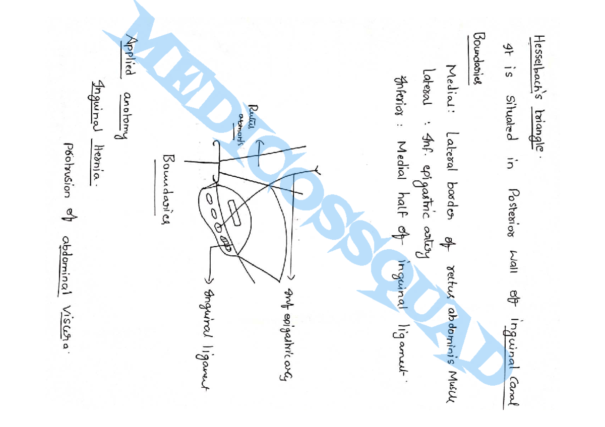 Hesselbachs Triangle - Good - Compensation Management And Hr Audit ...