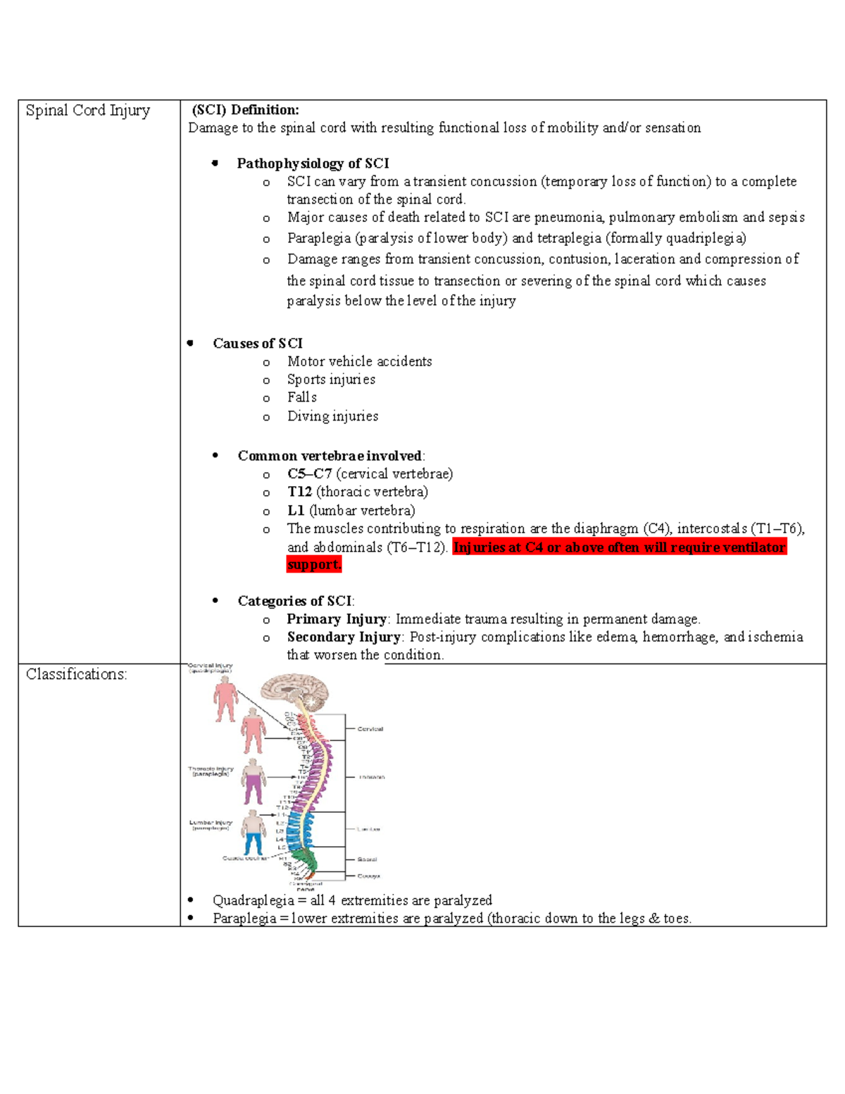 Spinal Cord Injury (SCI) Overview: Causes, Classifications, and ...