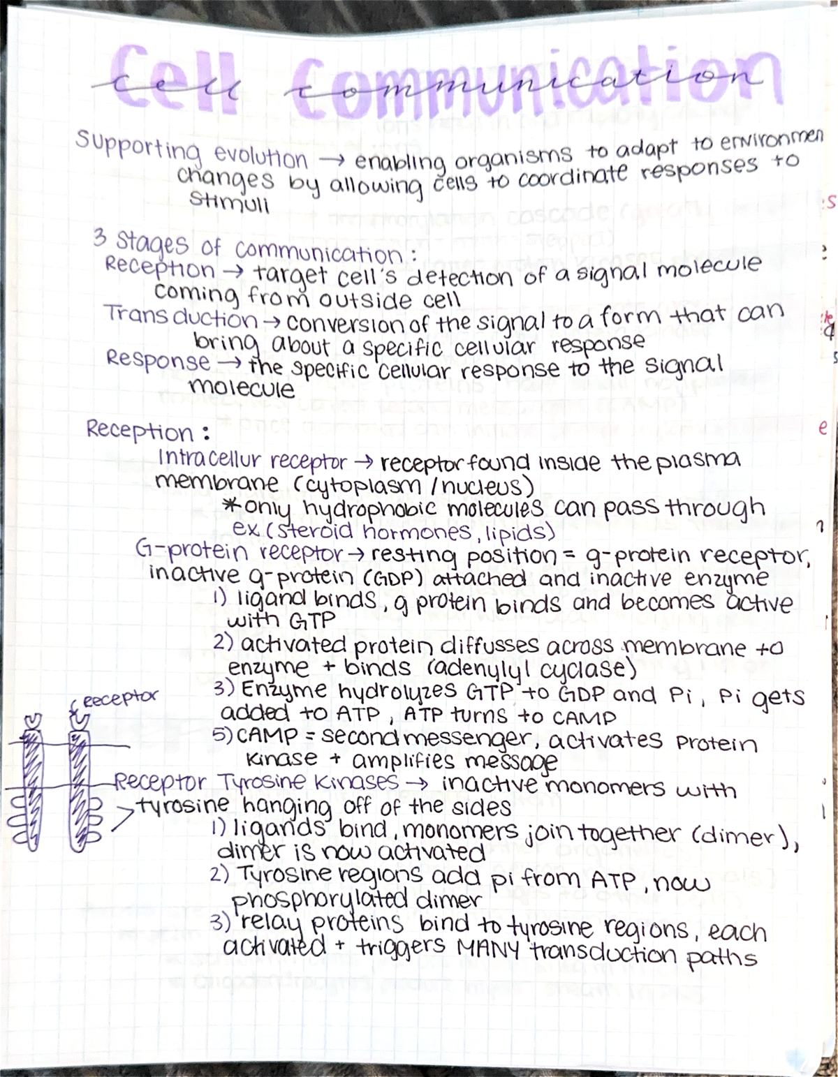 Course Code Notes: Subject Overview and Key Concepts for Exam ...