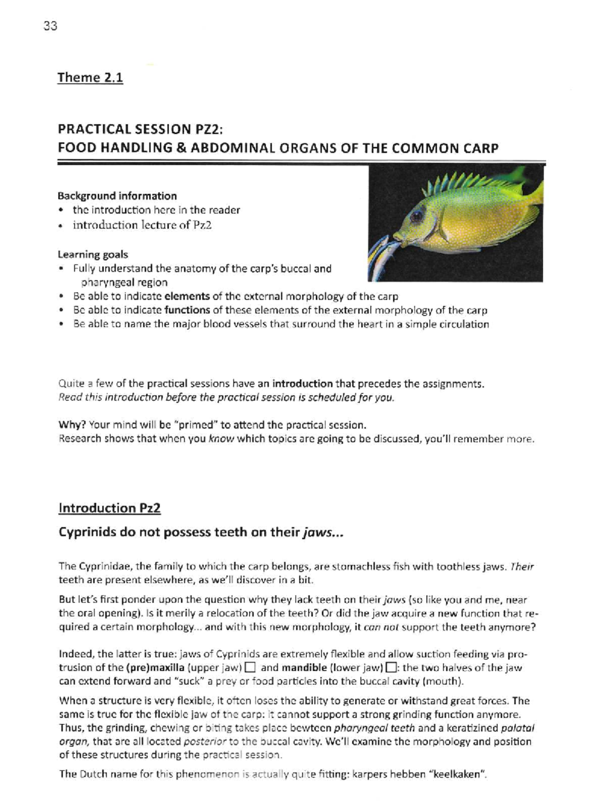 Zoology 2: Practical Session on Food Handling & Anatomy of Common Carp ...