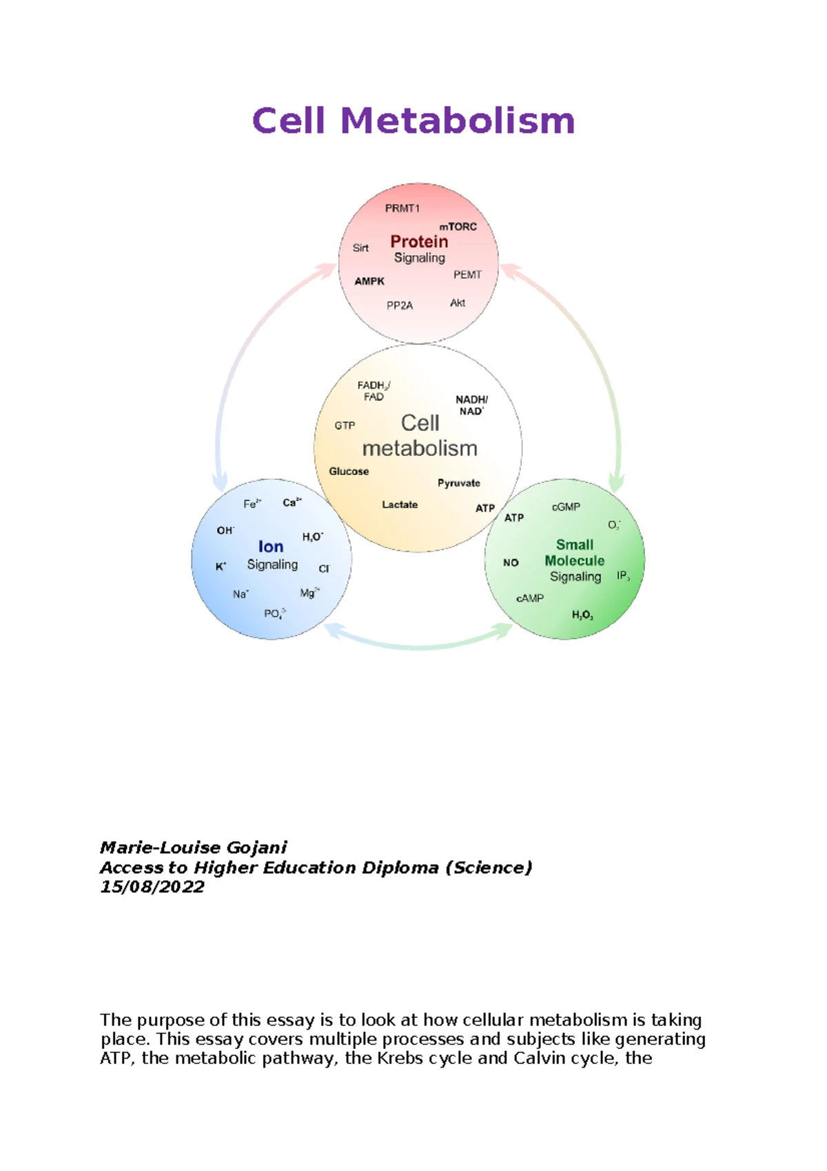 Biol 101: Assignment 9 - Insights into Cell Metabolism Processes - Studocu