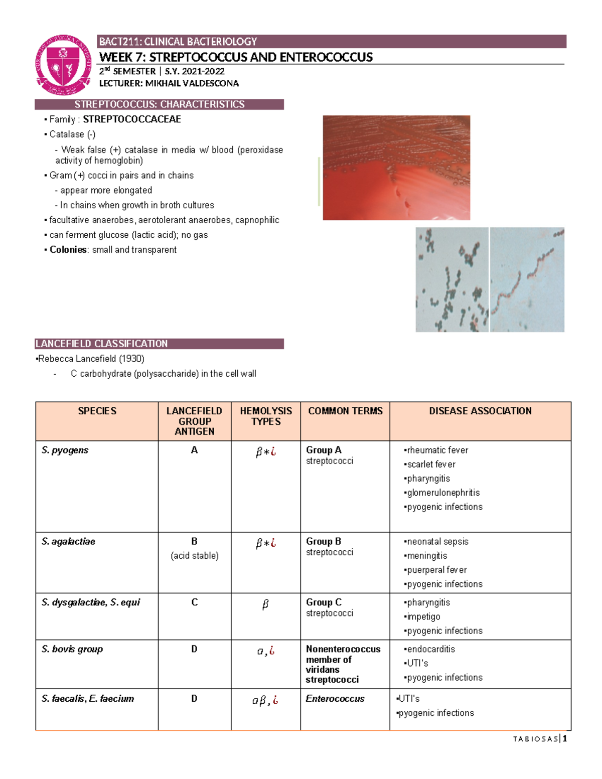 WEEK 8: STREPTOCOCCUS AND ENTEROCOCCUS - BACT211 LECTURE NOTES - Studocu
