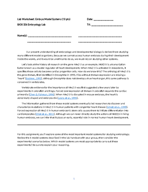 Embro worksheet lab 2 - Lab Worksheet: 10mm pig nervous system (10 pts ...