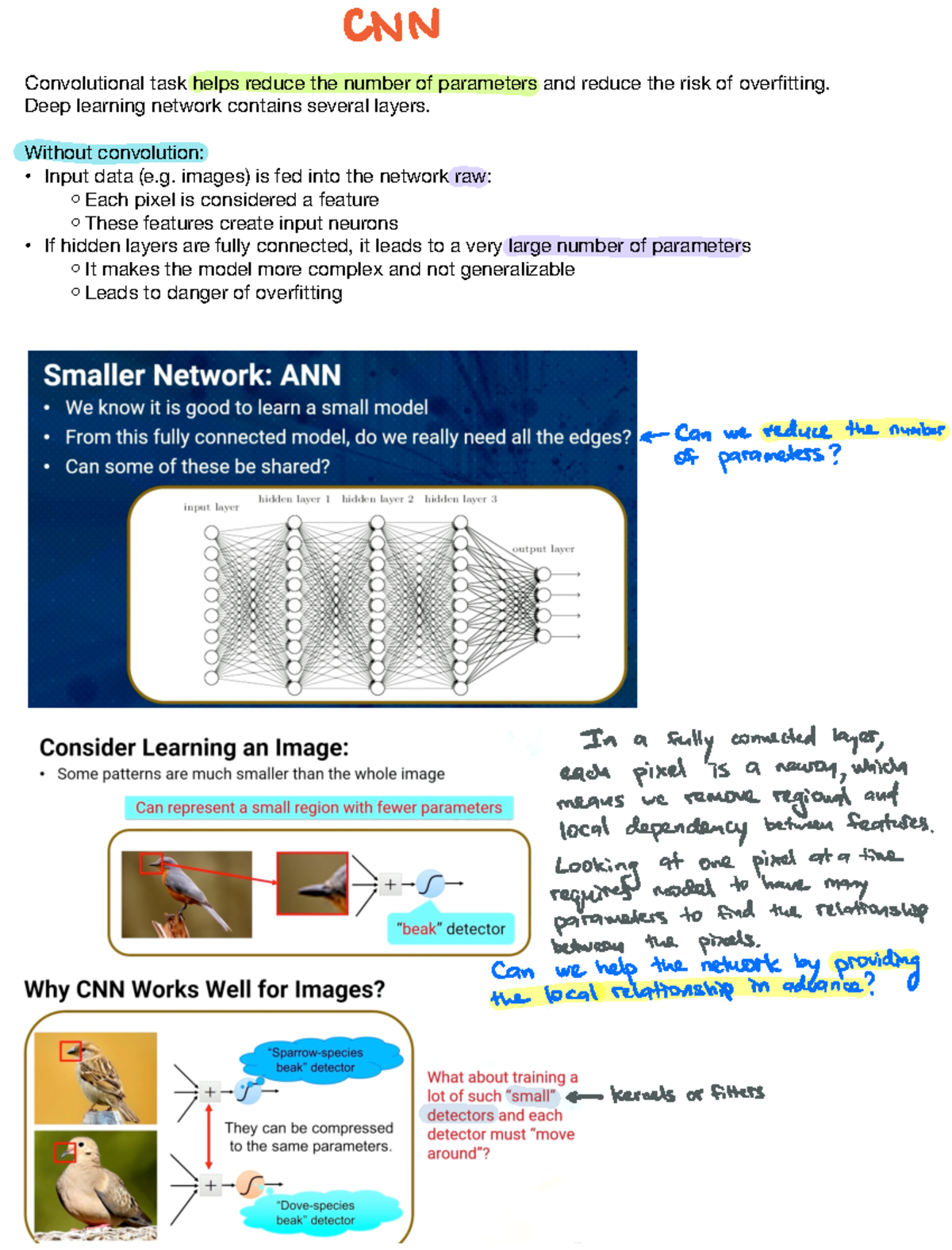 Week 8 - CNN & RNN - Week 8 - CNN & RNN - Convolutional task helps ...