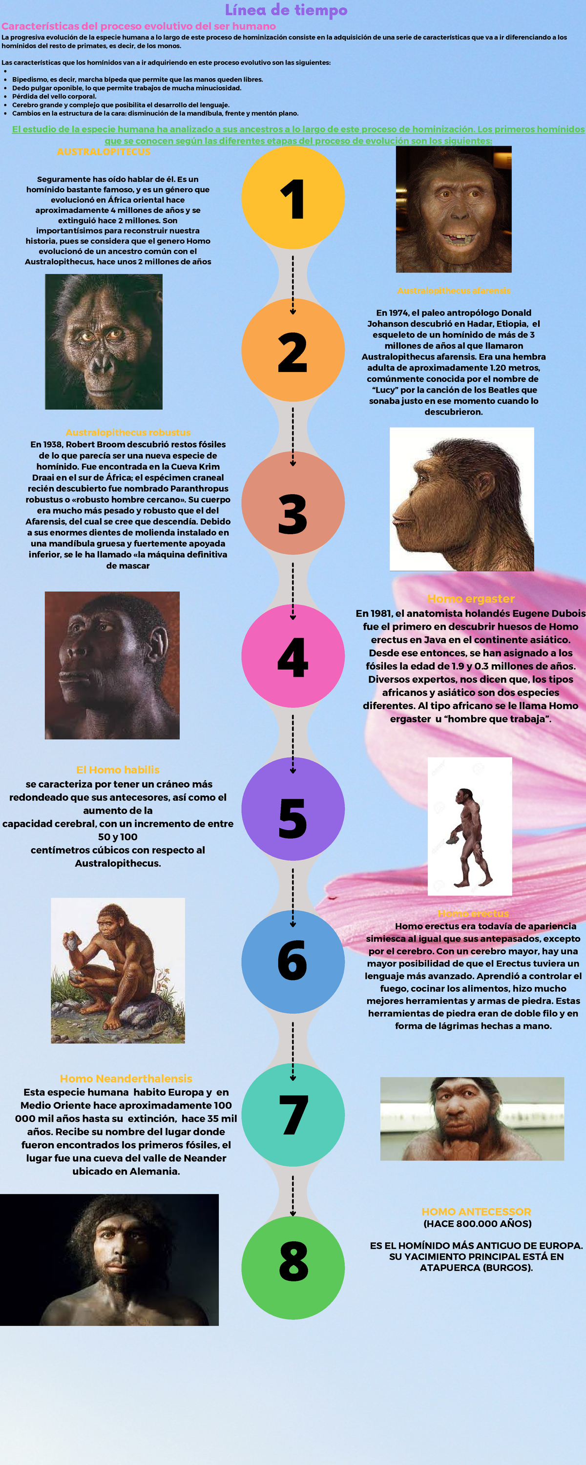 Lnea Del Tiempo De La Evolucin Humana Linea Del Tiempo 1