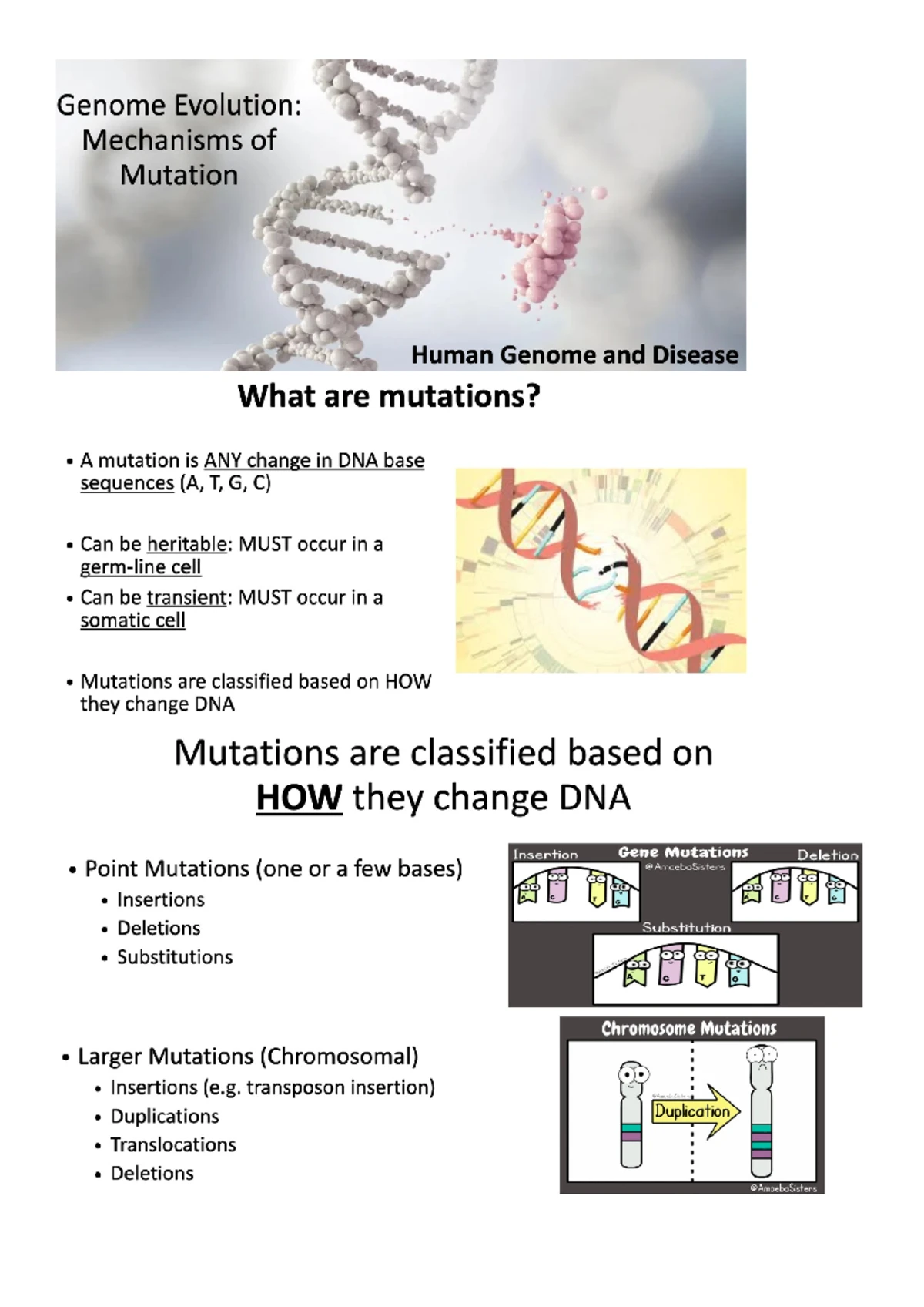 Organization, Evolution and Variability - Outline Introduction and ...
