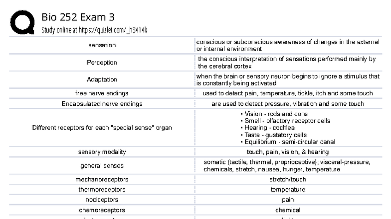 Bio 252 Exam 3 Study Guide: Sensation, Perception, and Hormones - Studocu