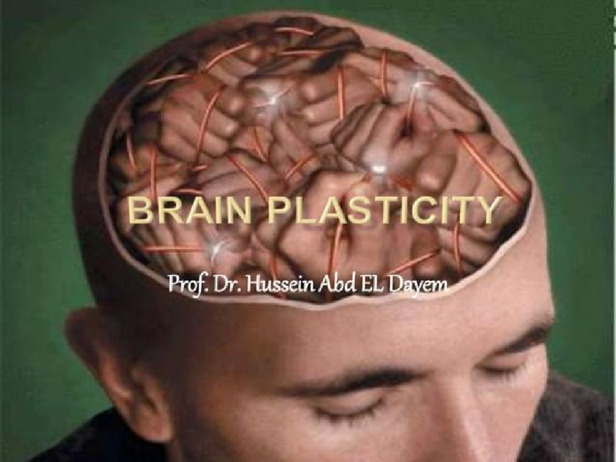 CNS 101: Understanding Brain Plasticity and Its Developmental Stages ...