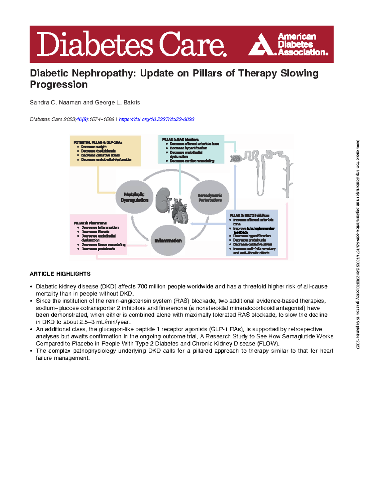 2023 Diabetes Care Update: Therapeutic Pillars to Slow DKD Progression ...