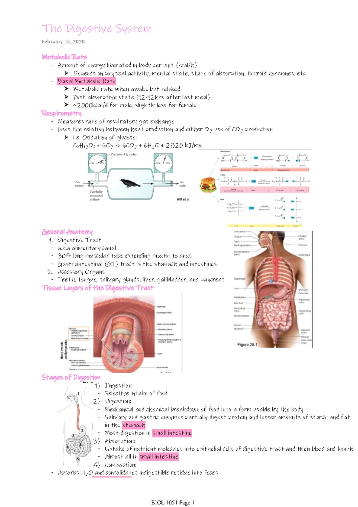 Textbook Notes 1.6: Human Function, Homeostasis & Feedback Mechanisms ...