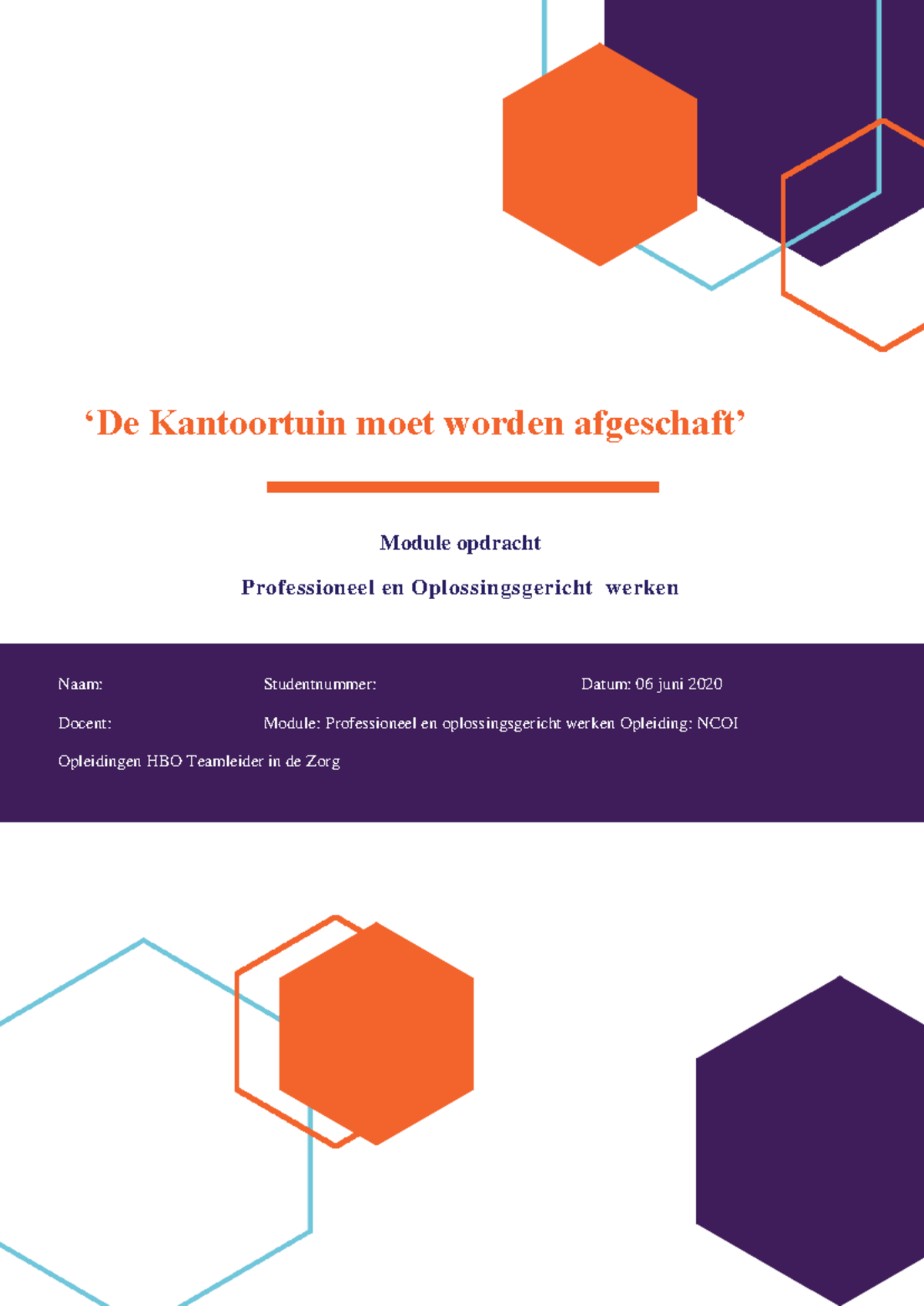Module Professioneel en Oplossingsgericht Werken - Cryptomunten: Verboden  of de Toekomst? - Studeersnel