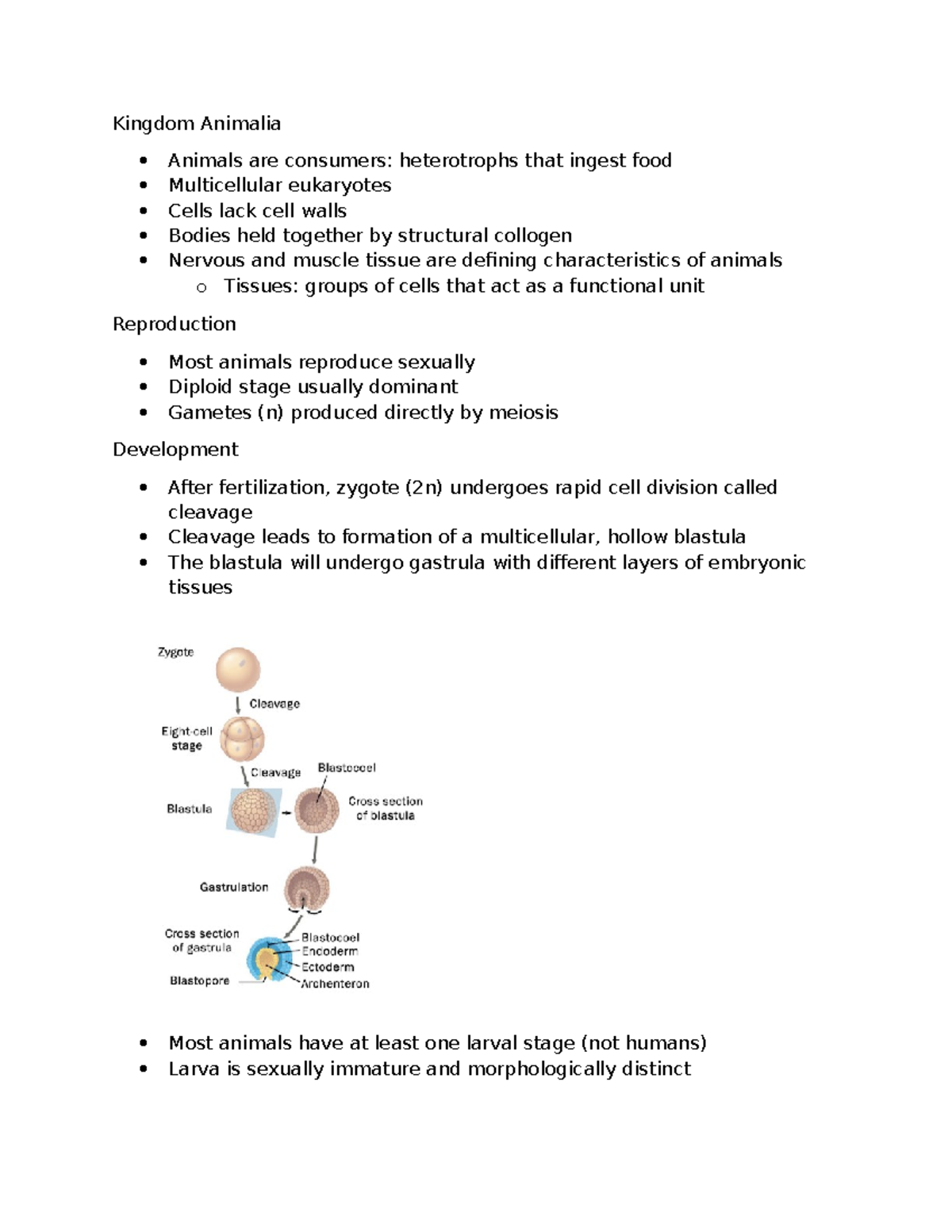 BIO101 Lecture: Animal Diversity and Evolution Notes - Studocu