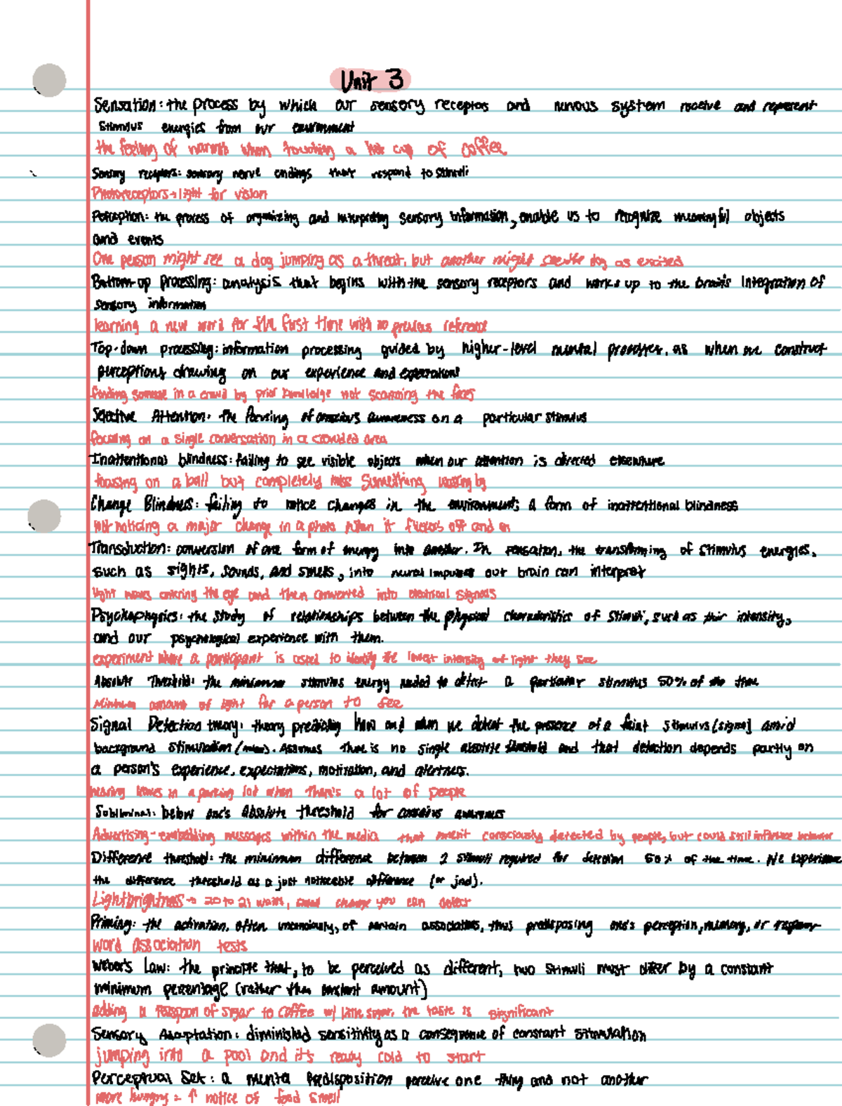 Sensation and Perception - Psychology 101 Lecture Notes - Unit 3 ...