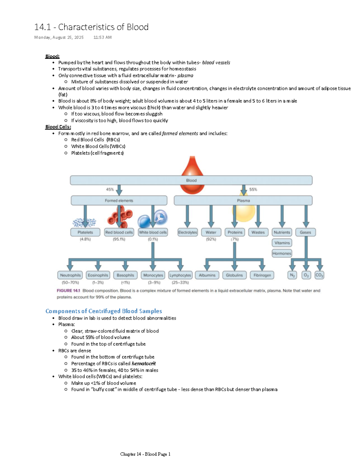 Chapter 14 - Blood: Components and Functions - Studocu