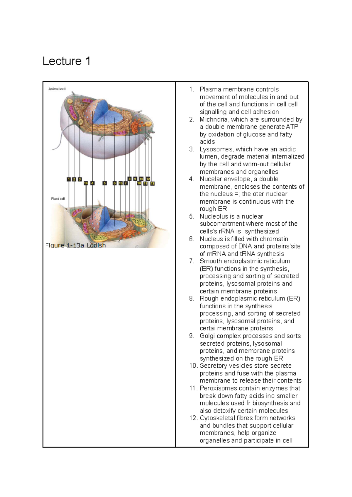 Biosci 201 Module 1: Cell Biology Lectures 1-6 Overview - Studocu