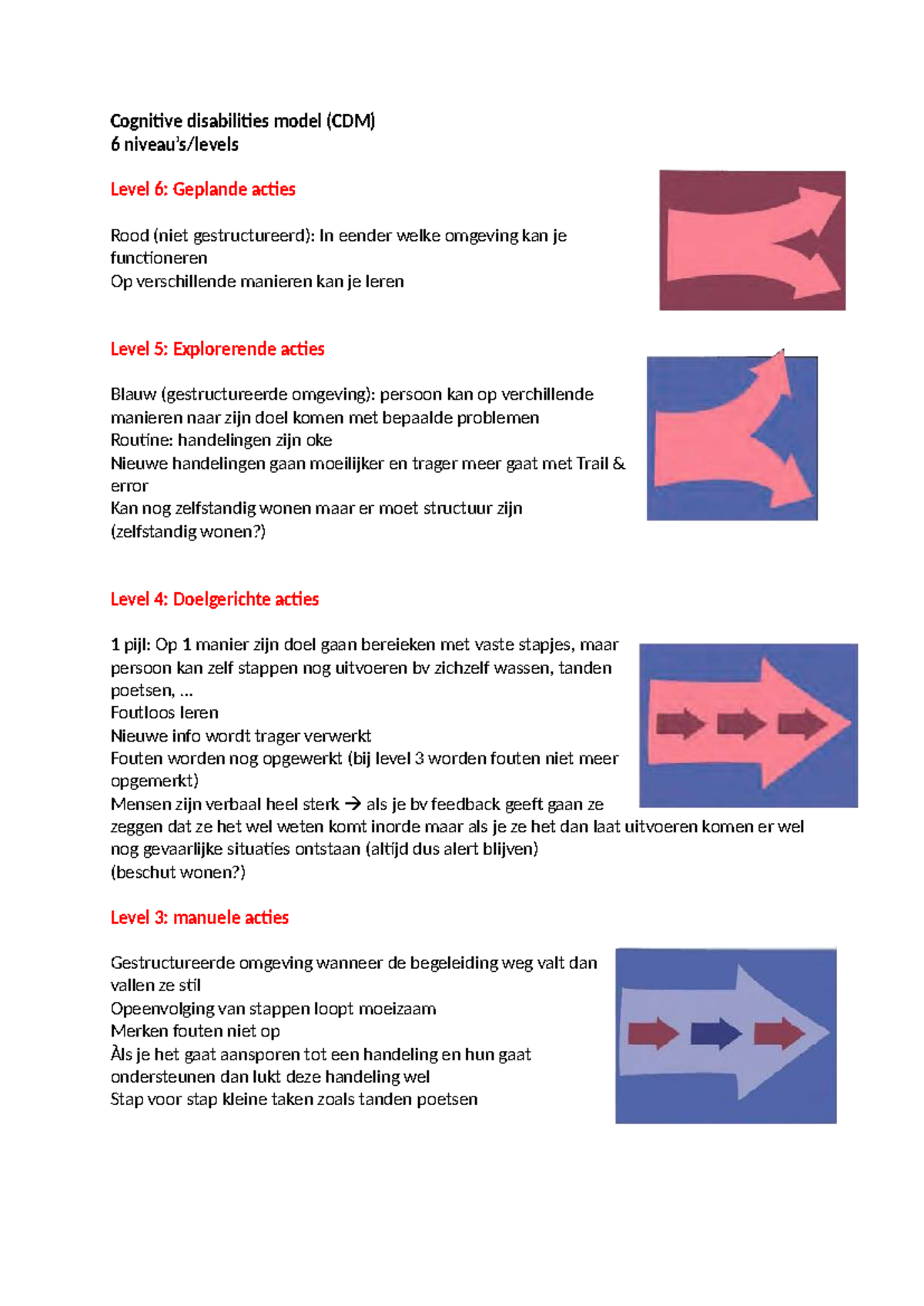 CDM Levels: Understanding Cognitive Disabilities and Actions - Studocu