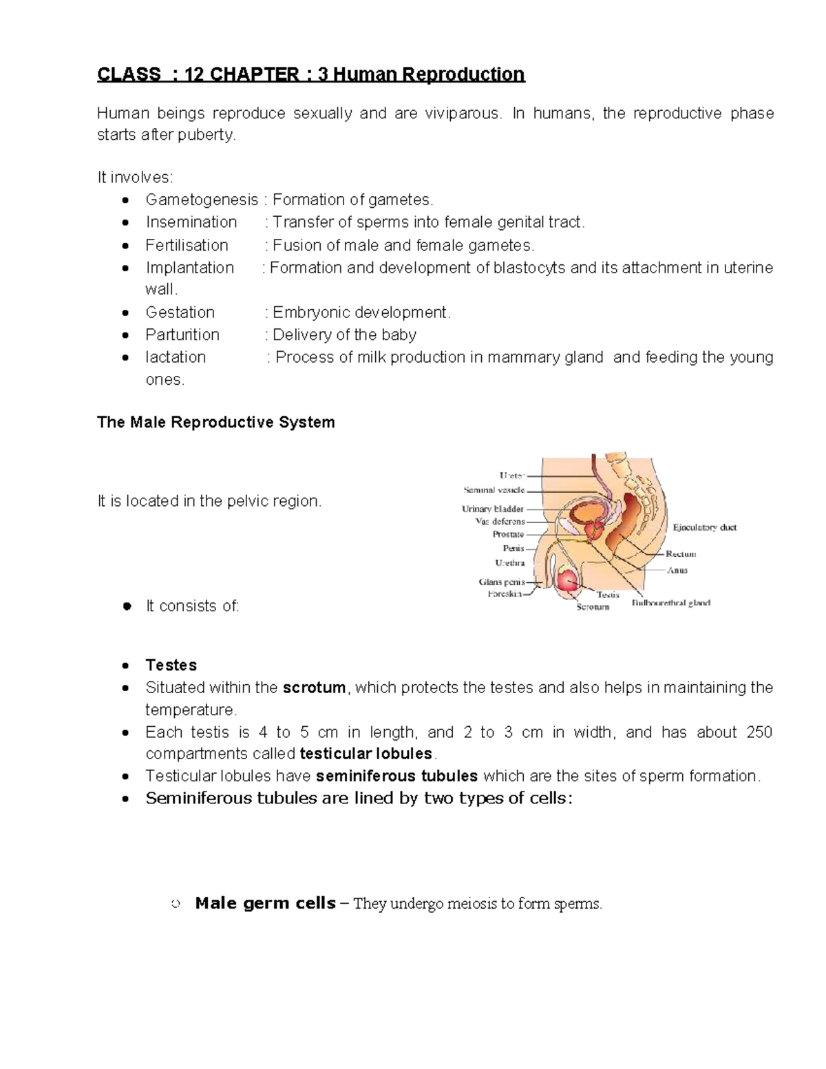 CLASS: 12 CHAPTER 3 - Human Reproduction Overview and Processes - Studocu