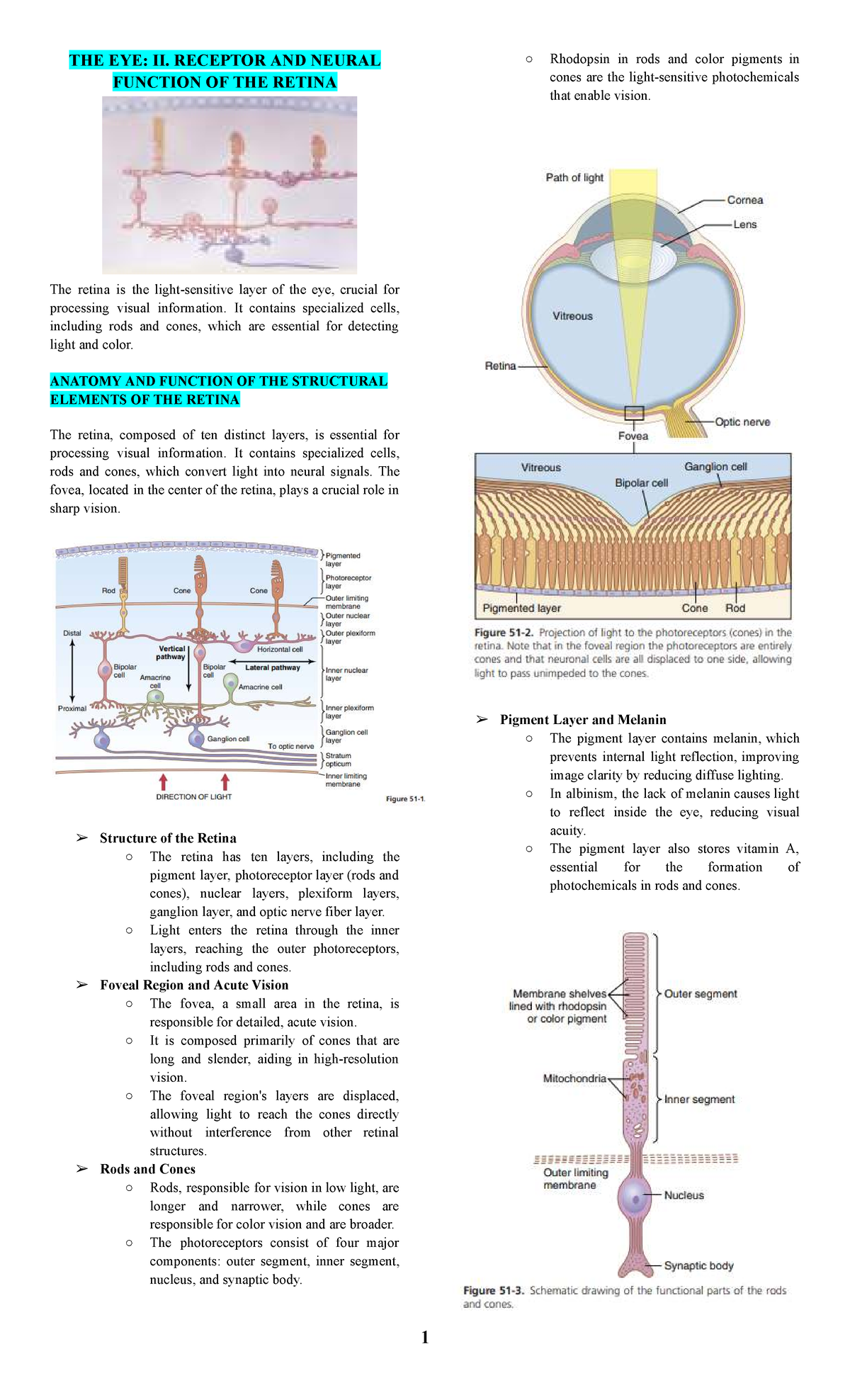 Chapter 51 - Physiology of Vision: Rhodopsin and Cone Pigments in the ...