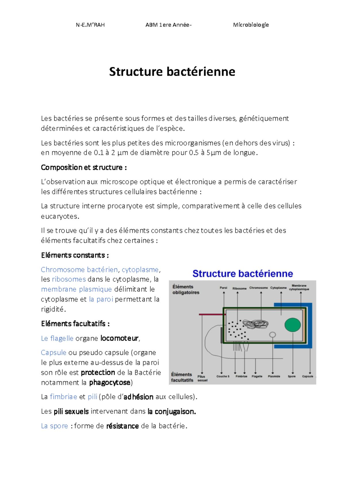 2.Structure bactérienne - Structure bactérienne Les bactéries se ...