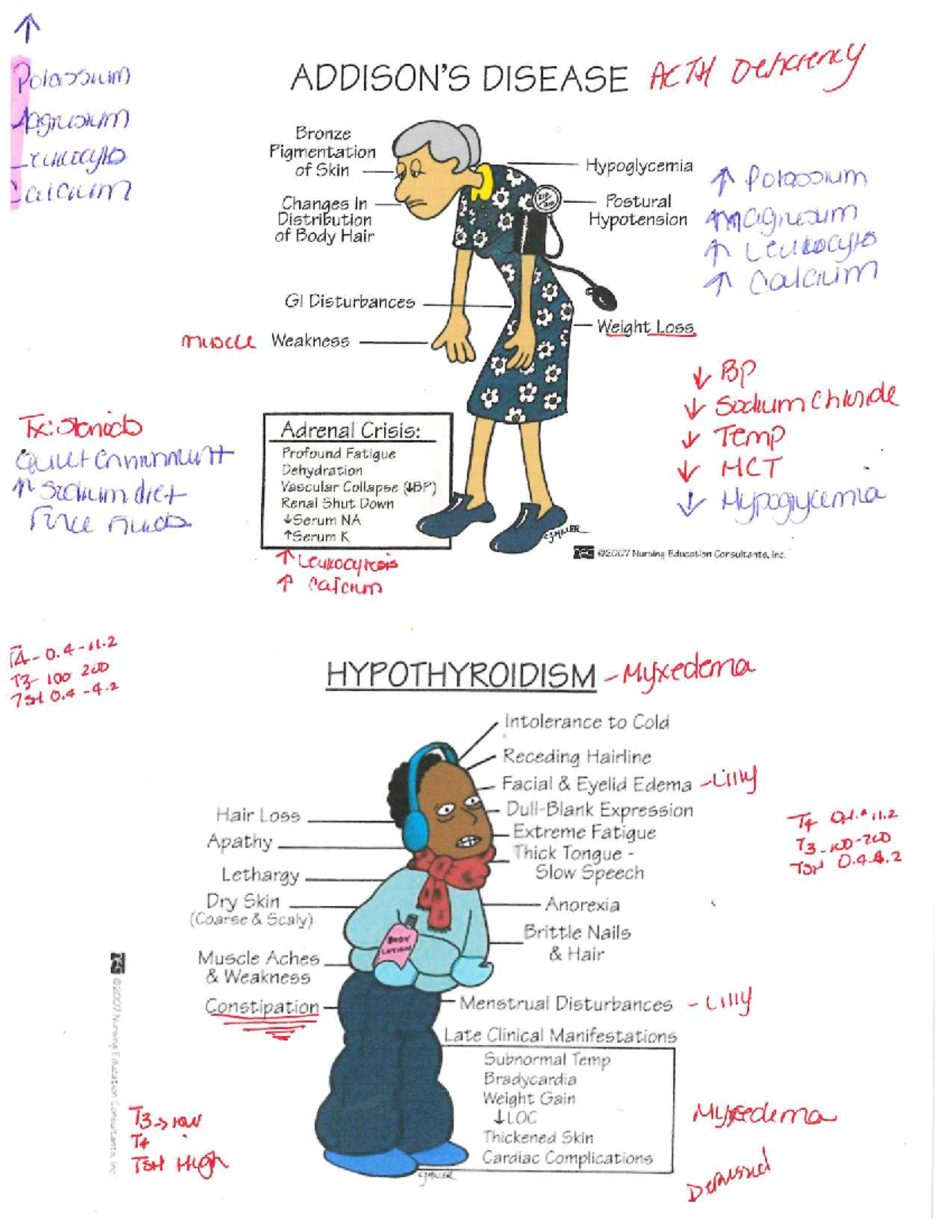 Addison's Disease Overview - PN 112 Study Notes - Studocu