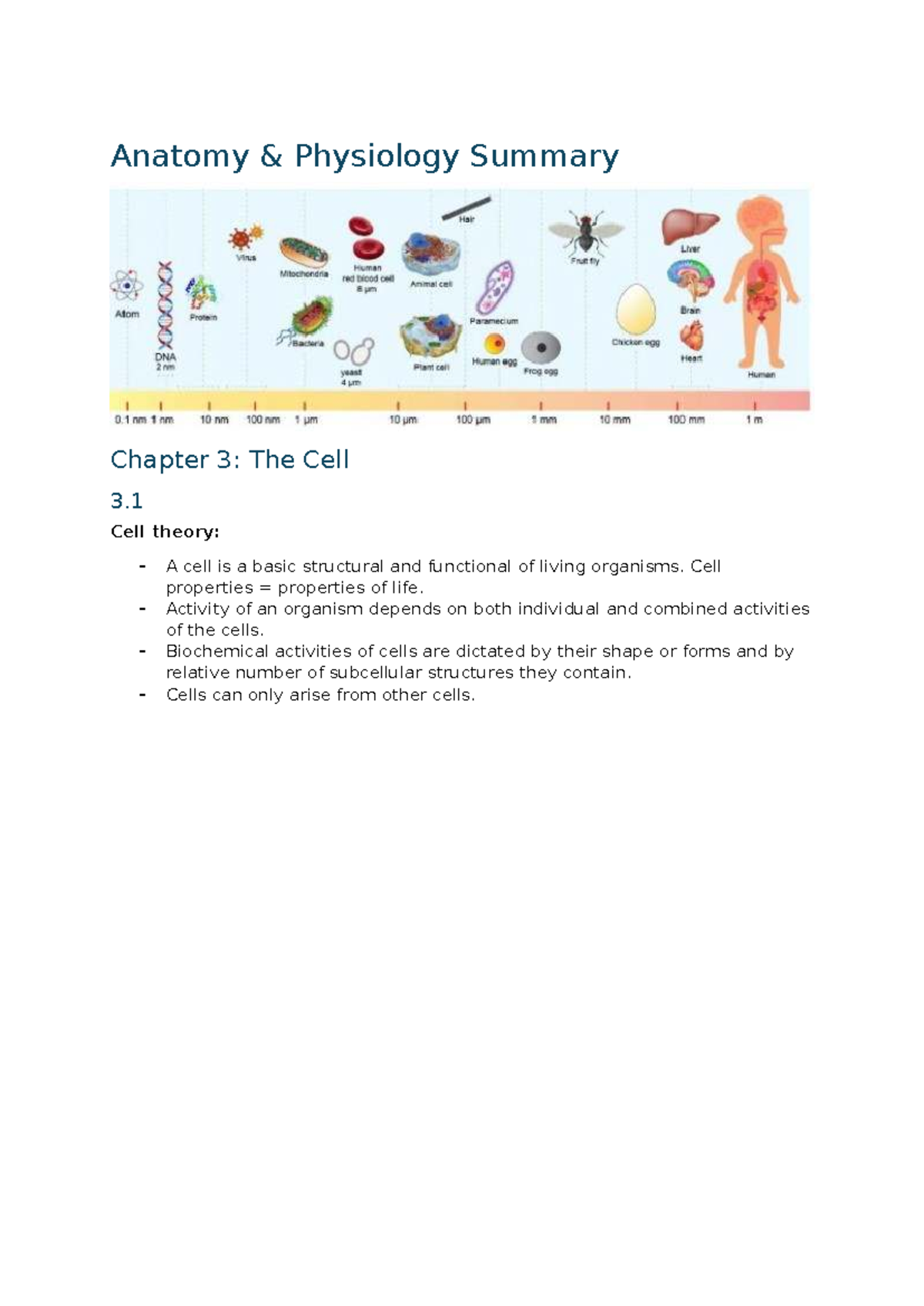 Anatomy PHYS 101: Complete Summary of Chapter 3 - The Cell - Studeersnel