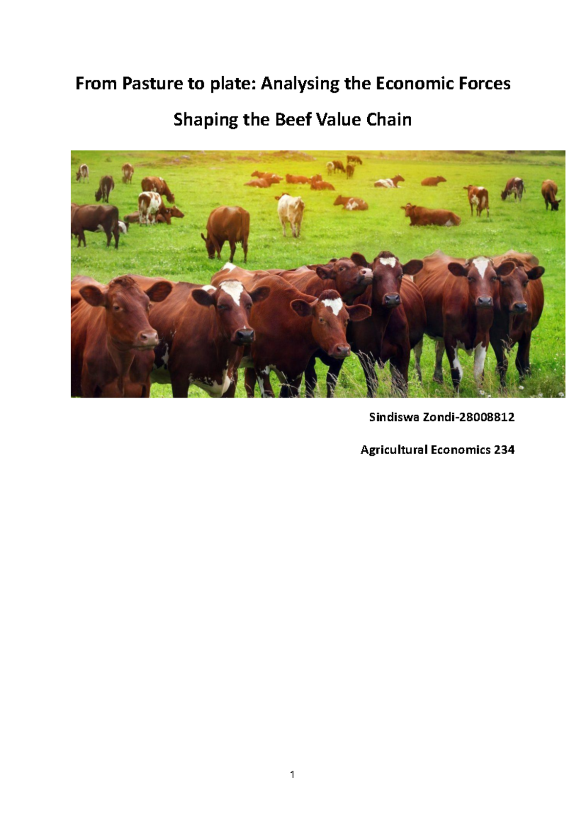 AE 234 Final Assignment: Economic Analysis of the Beef Value Chain ...
