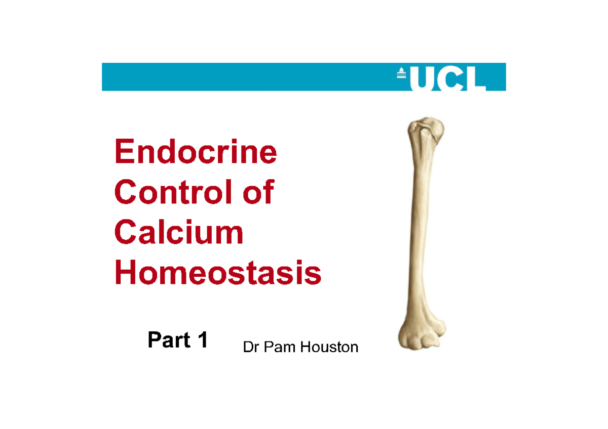 Endocrine Control of Calcium Homeostasis: Lecture 45 Insights - Studocu