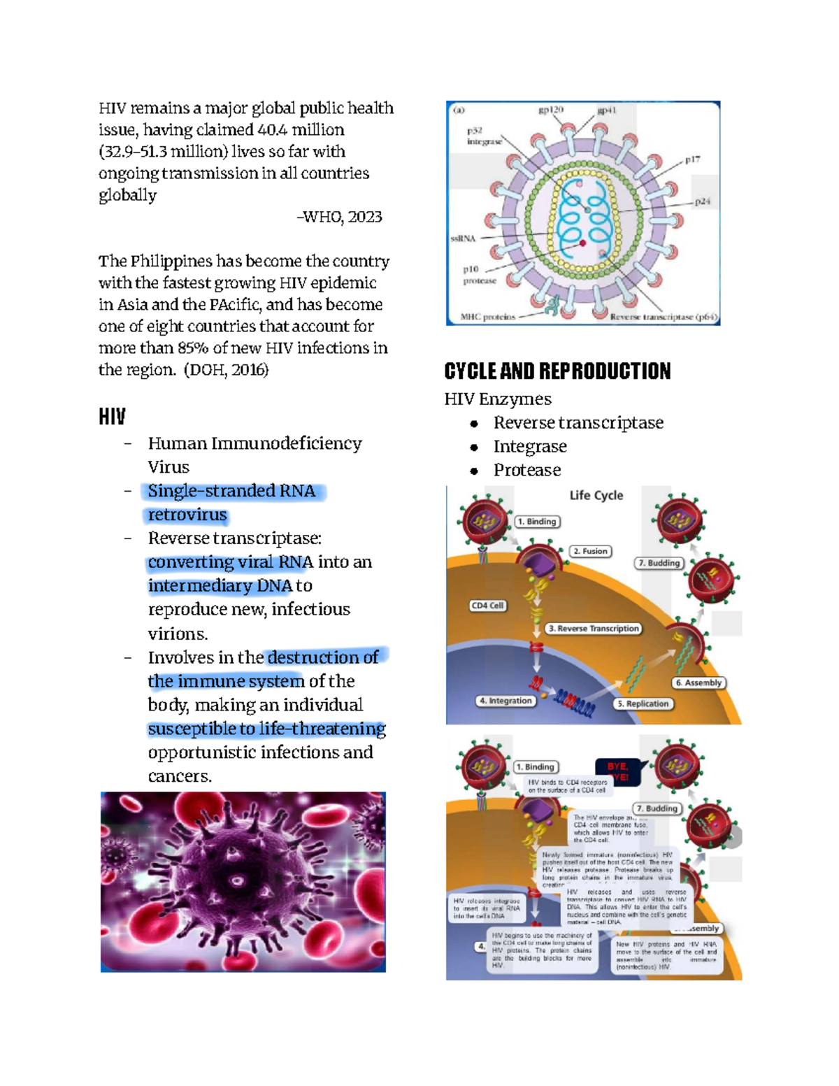 Human Immunodeficiency Virus (HIV) Overview and Treatment Insights ...
