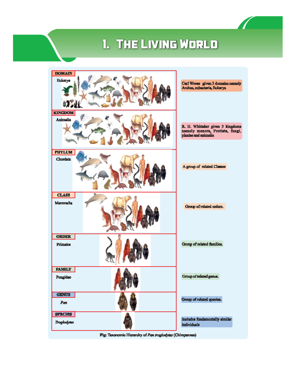 1. The Living World: NCERT Gear Up Biology Notes and Objectives - Studocu