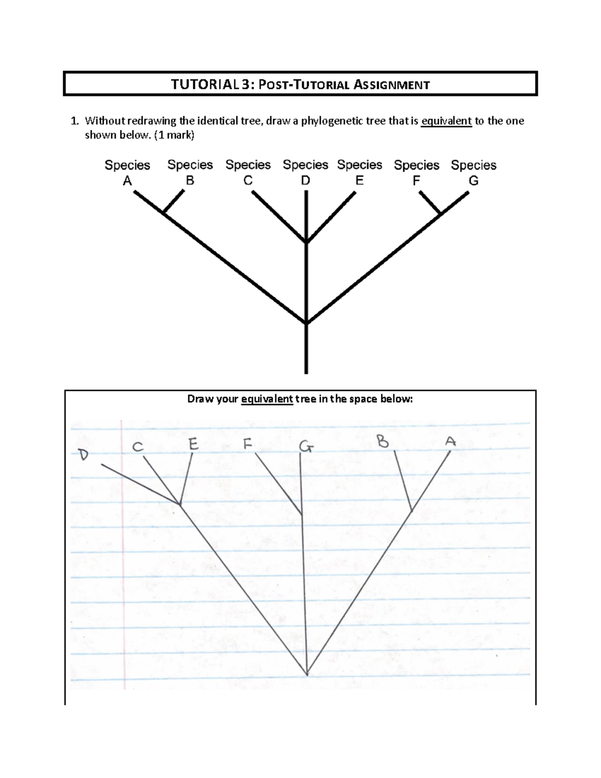 Post-Tutorial 3 Assignment F25: Phylogenetic Tree Analysis - Studocu