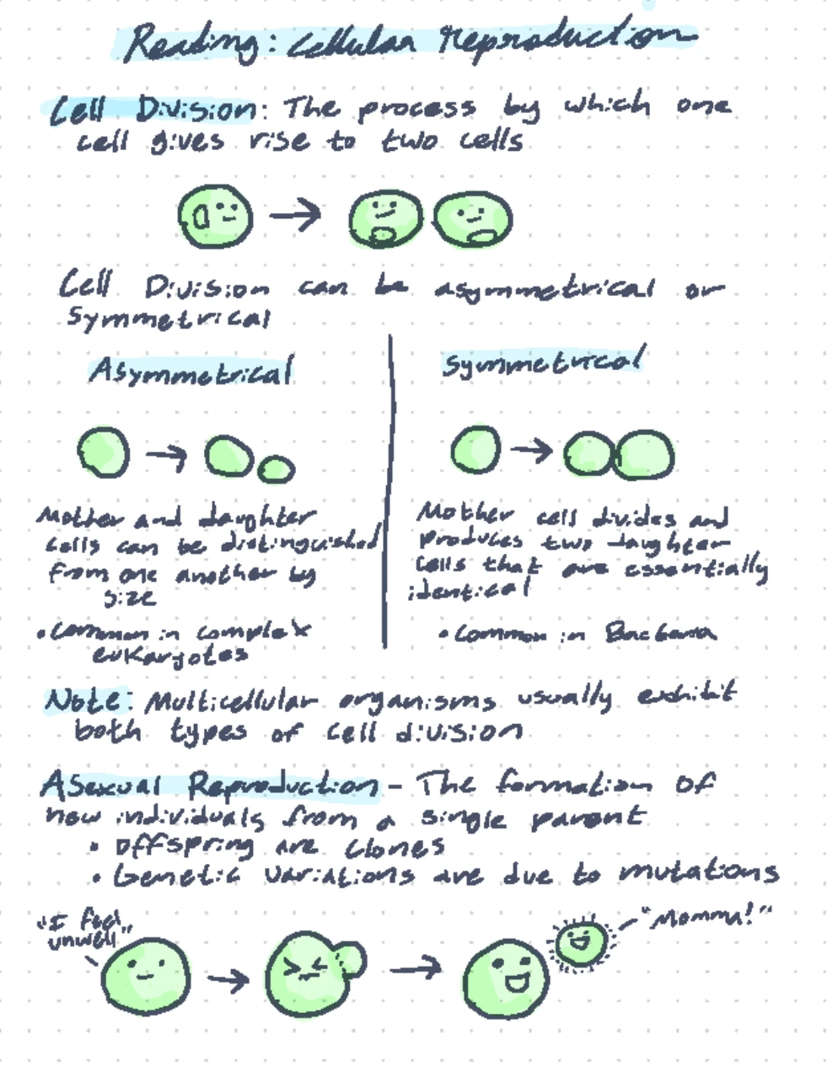 BIOL 101 Lecture Notes: Linear DNA, Eukaryotes & Protists Overview ...
