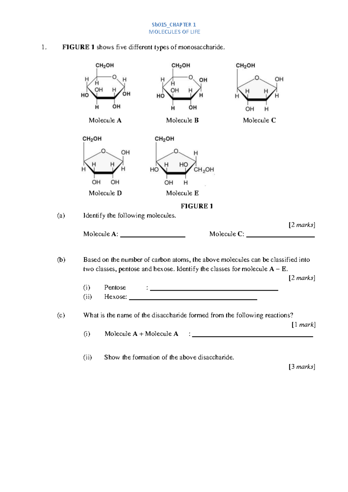 Sb015_CHAPTER 1 MOLECULES OF LIFE: Comprehensive Study Guide - Studocu