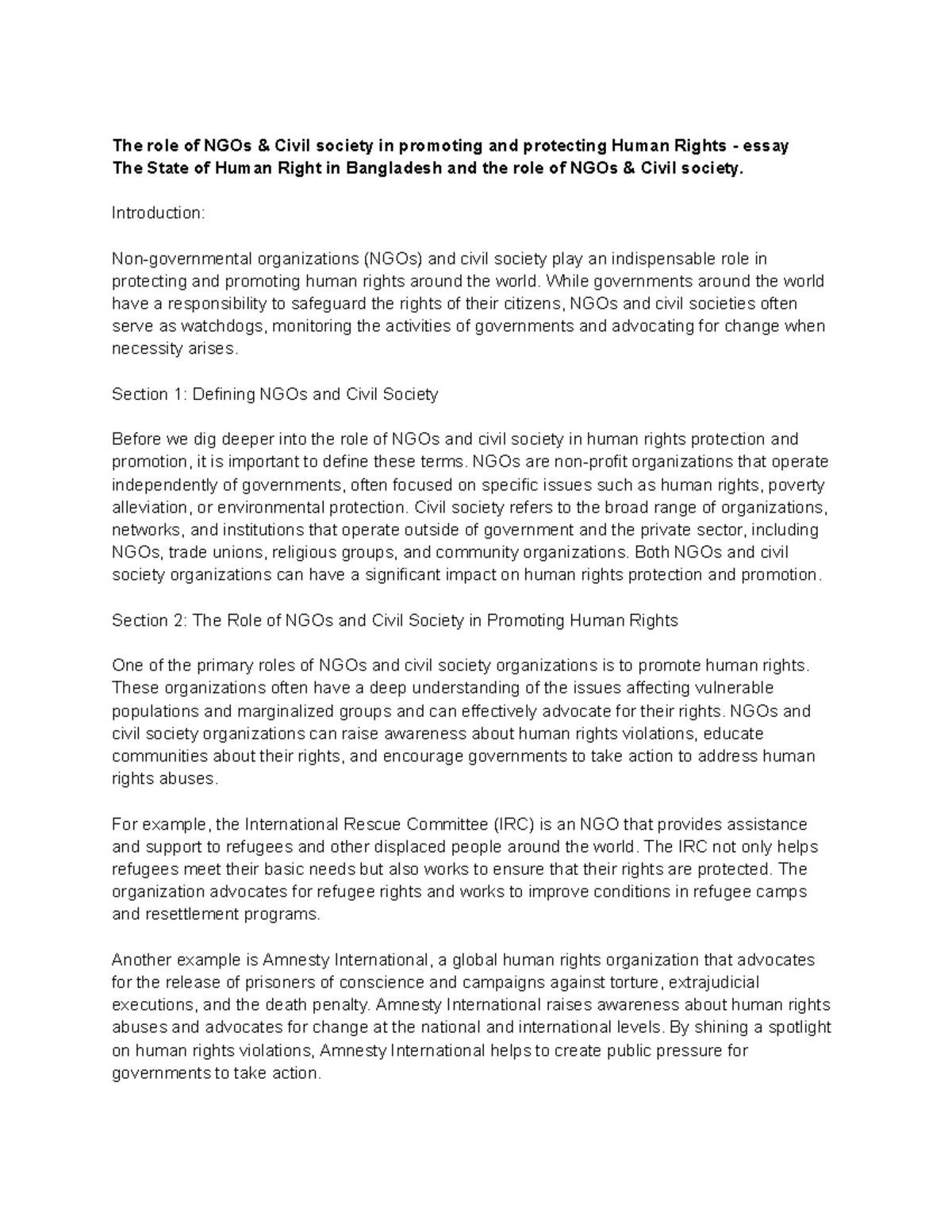 The Role of NGOs & Civil Society in Human Rights Promotion - Essay ...