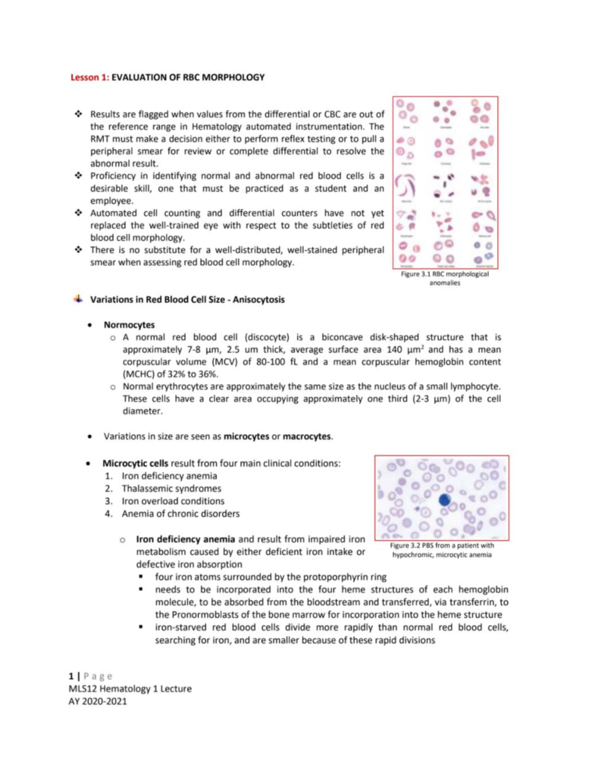 HEMA-LEC- Module 3 - hematology - HEMATOLOGY MODULE 3: ANEMIA & RBC ...