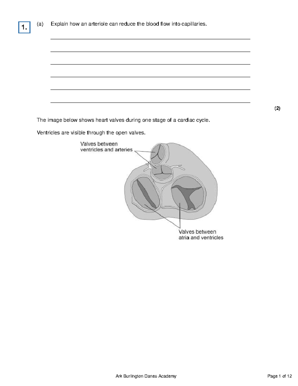 Biology 101: Heart Function & Blood Flow - Exam Review Notes - Studocu